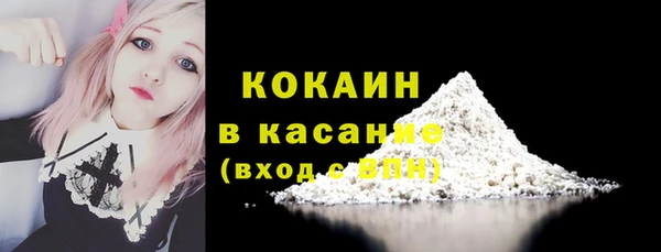 твердый Богданович