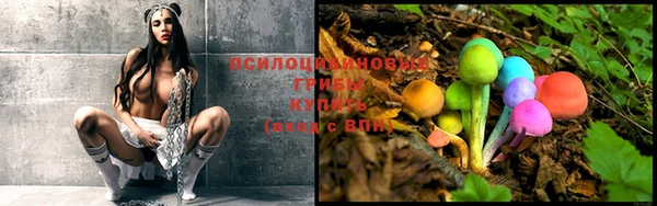 a pvp Богородицк